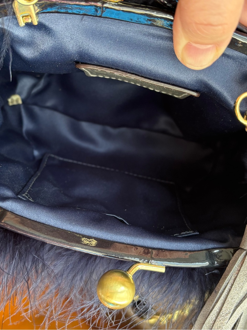 Coach Limited-Edition Poppy Ostrich Crossbody Feather Clutch - Picture 7 of 16